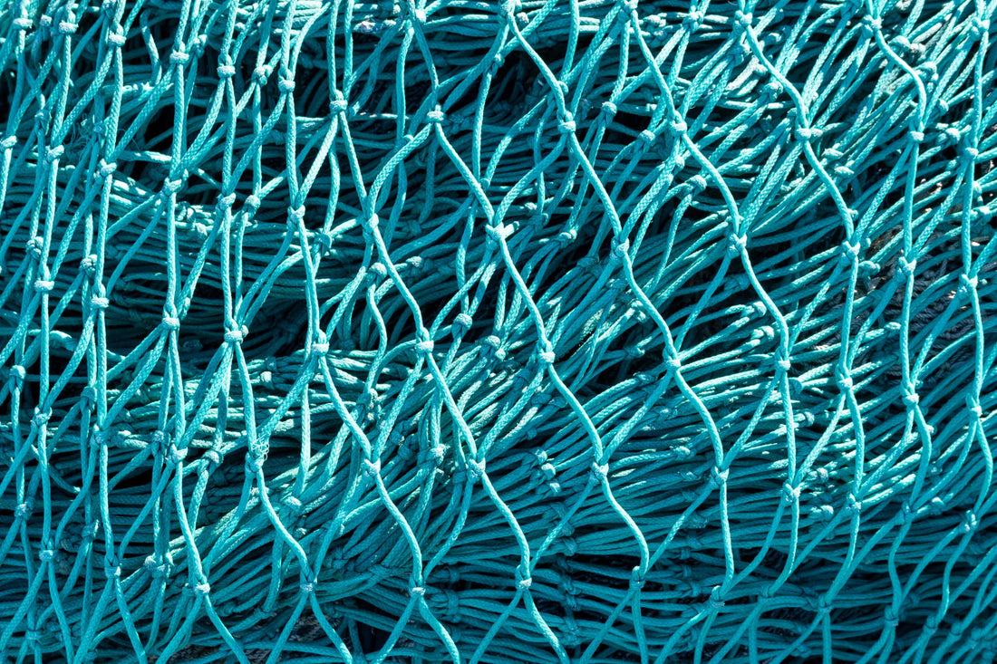 gill net
