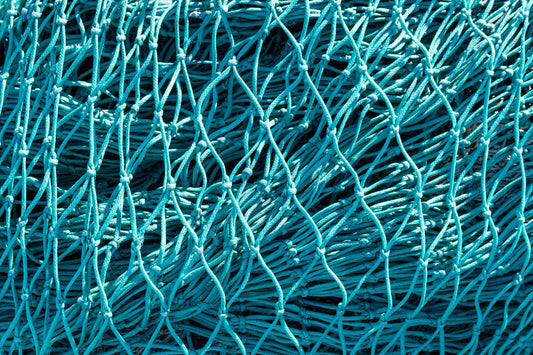 gill net