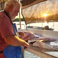 Beyond the Fillet: What Makes Wild-Caught Seafood Boxes Truly Sustainable
