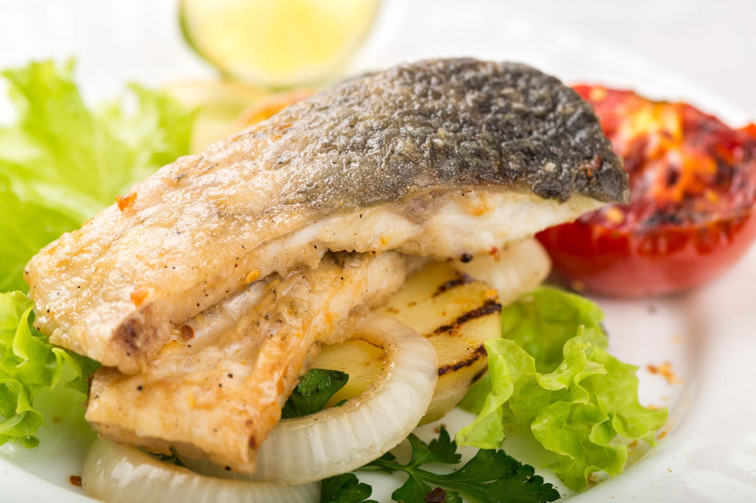 Barramundi