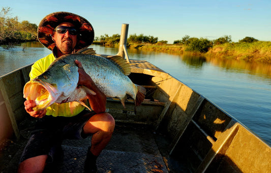 Understanding Wild-Caught Barramundi Fillet Quality