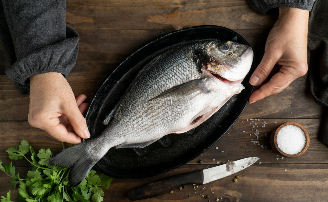 Barramundi