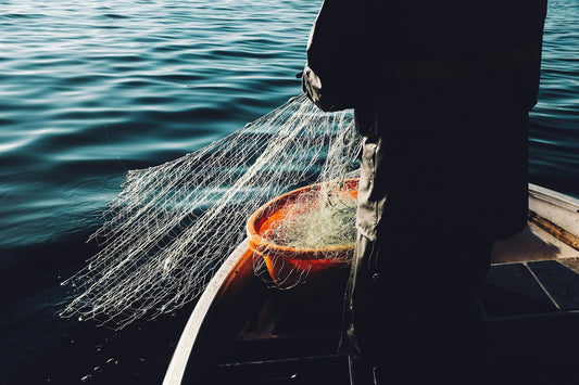 Gill Net