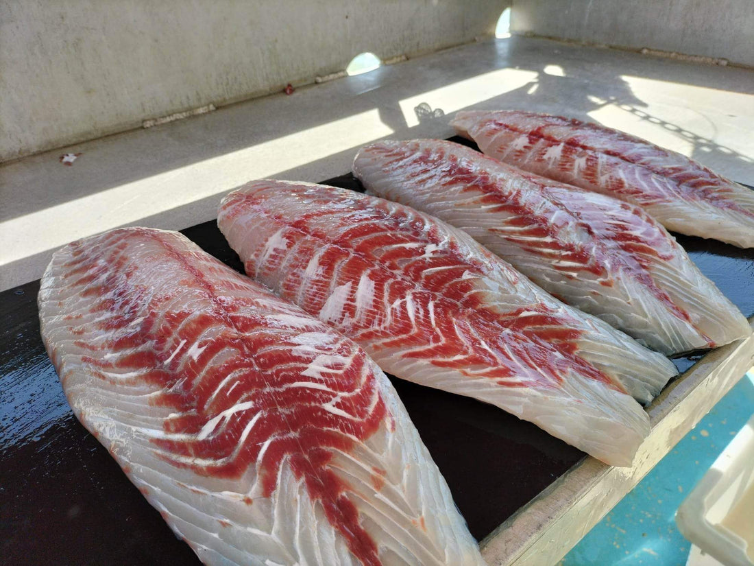 Why Smart Home Cooks Are Choosing Wild-Caught Fish Fillets