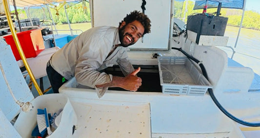 Freshness Myths About Snap Frozen Barramundi Debunked