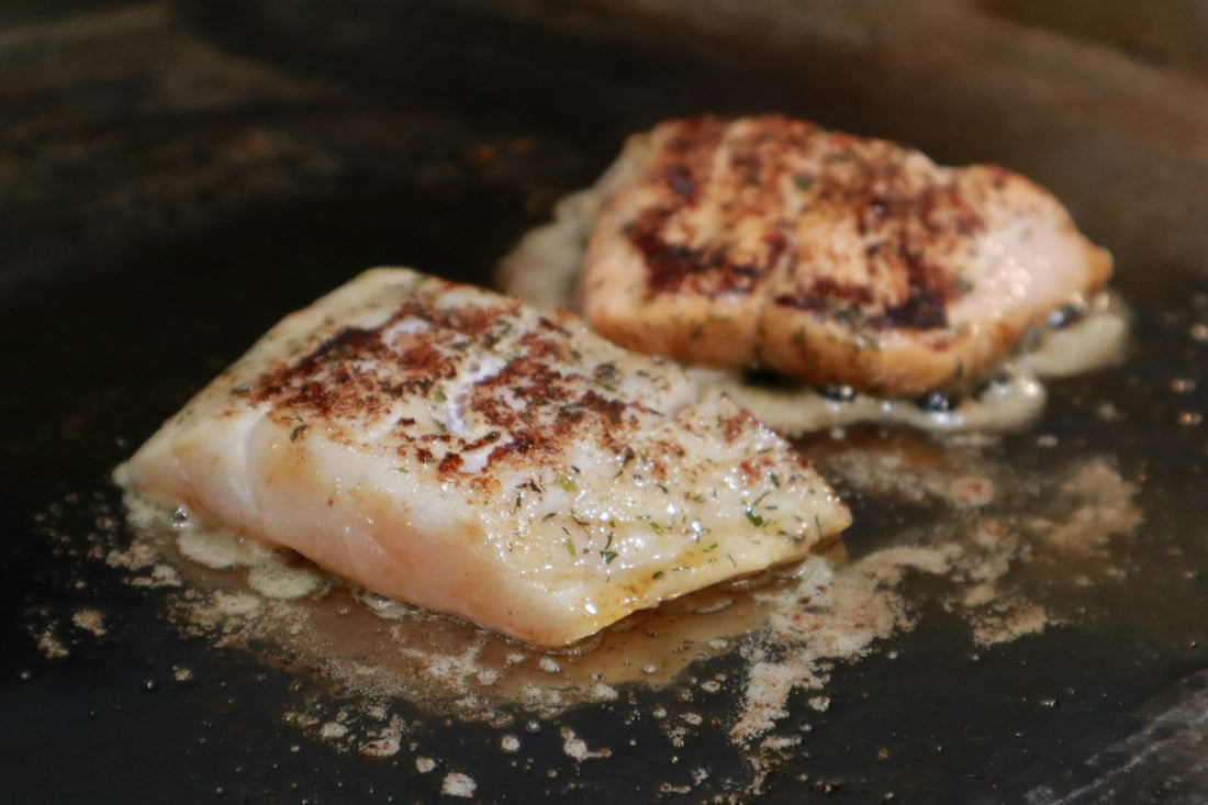barramundi