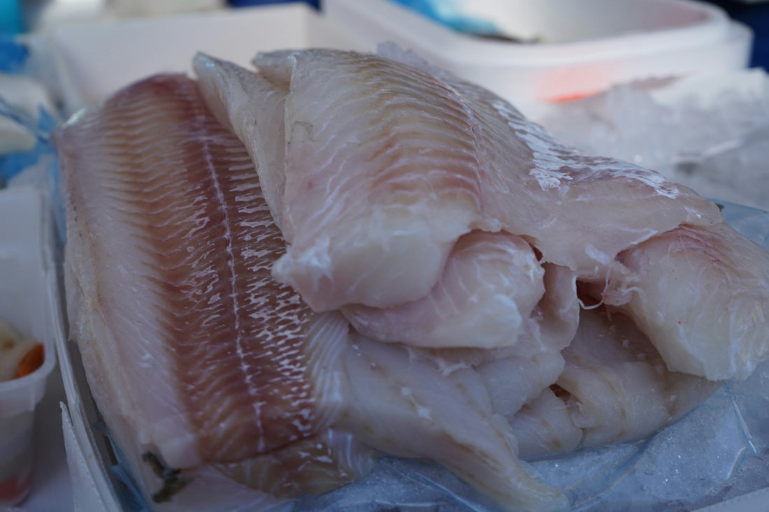 fish