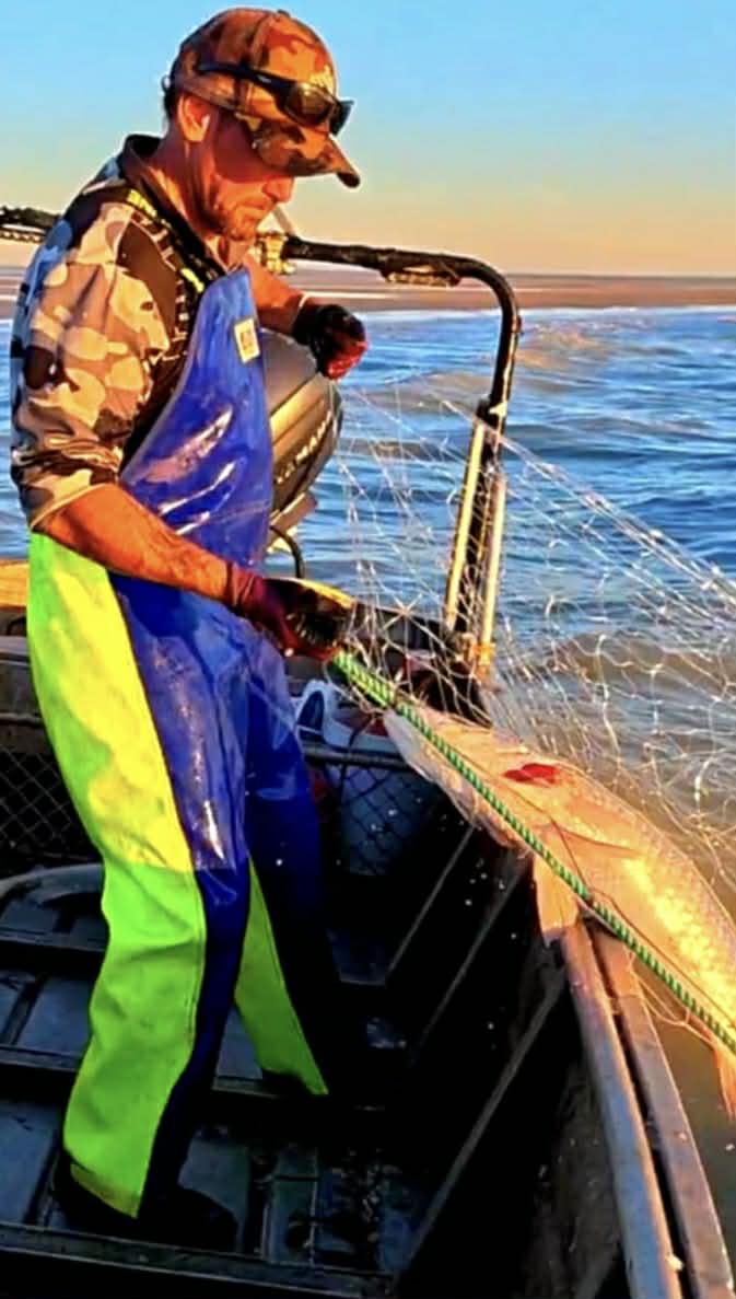 Why Gulf of Carpentaria Barramundi Is in a Class of Its Own