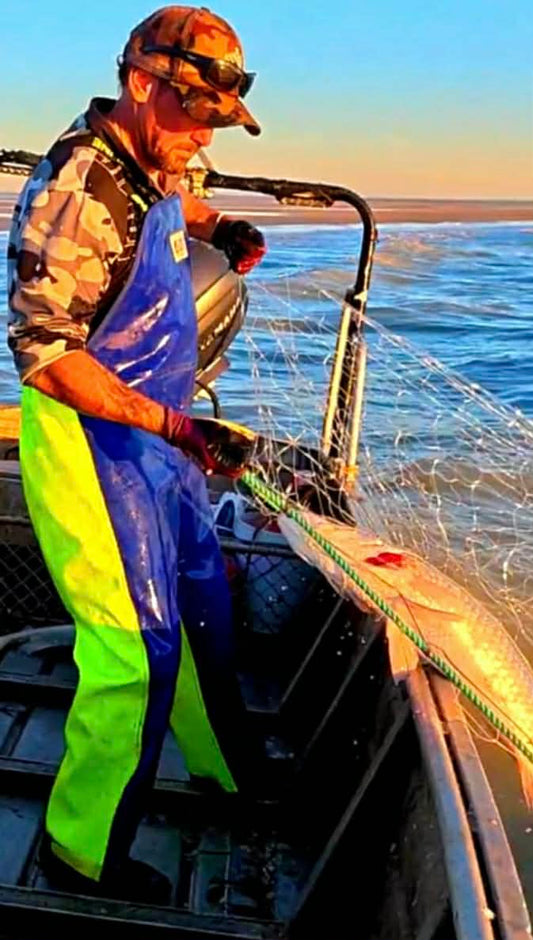 Why Gulf of Carpentaria Barramundi Is in a Class of Its Own
