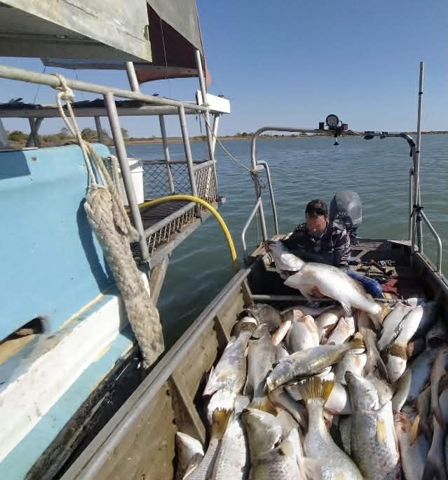 What Last Water Means for Wild-Caught Barramundi Shoppers