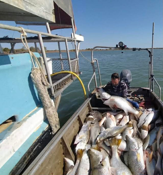 What Last Water Means for Wild-Caught Barramundi Shoppers