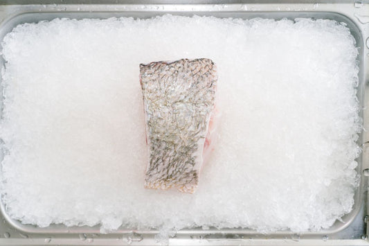barramundi
