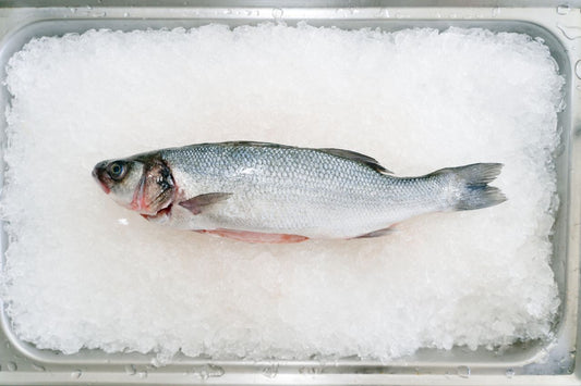 Freeze Wild Fish