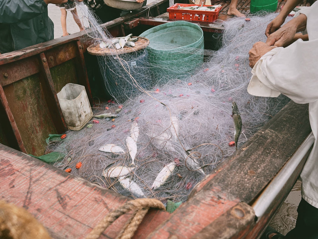 Gill Net Boat