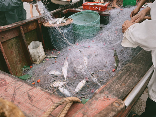 Gill Net Boat