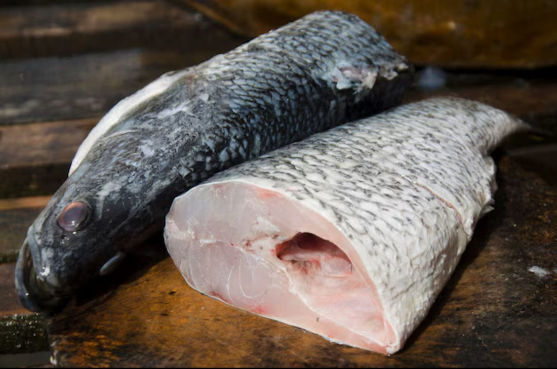 Barramundi Box Seafood