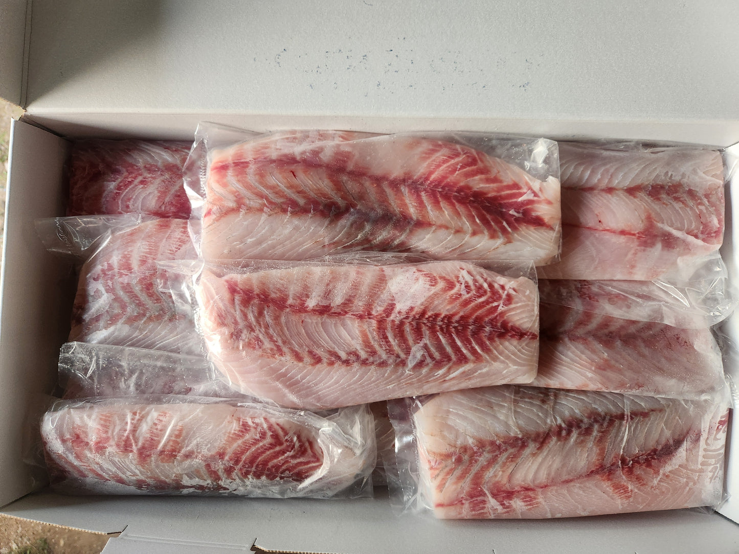 Premium Wild-Caught Barramundi 10kg Box SKIN OFF