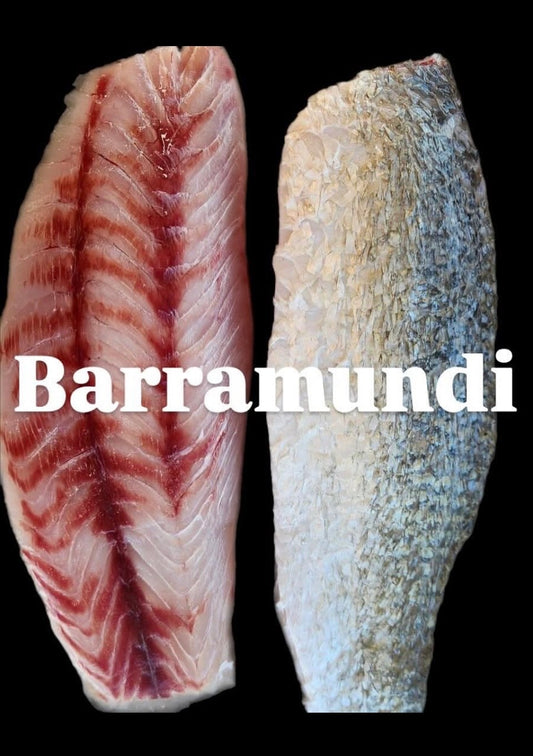 Premium Wild-Caught Barramundi 10kg Box SKIN ON