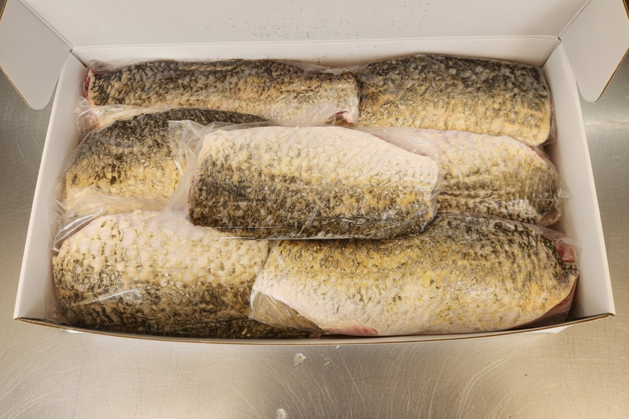 (6) Premium Wild-Caught Barramundi 10kg Box SKIN ON